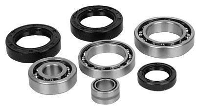 All Balls - All Balls Differential Seal Only Kit - 25-2142-5