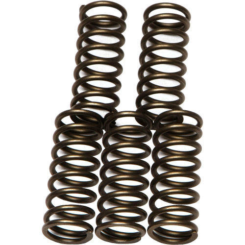 EBC - EBC CSK Clutch Spring Kit - CSK180