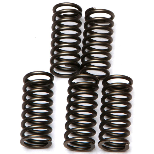 EBC - EBC CSK Clutch Spring Kit - CSK132