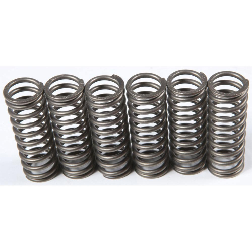 EBC - EBC CSK Clutch Spring Kit - CSK186