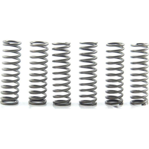 EBC - EBC CSK Clutch Spring Kit - CSK183