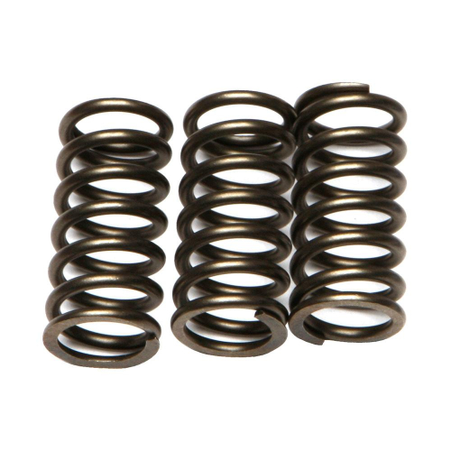 EBC - EBC CSK Clutch Spring Kit - CSK203