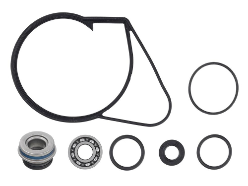 SP1 - SP1 Water Pump Repair Kit - 10-721313