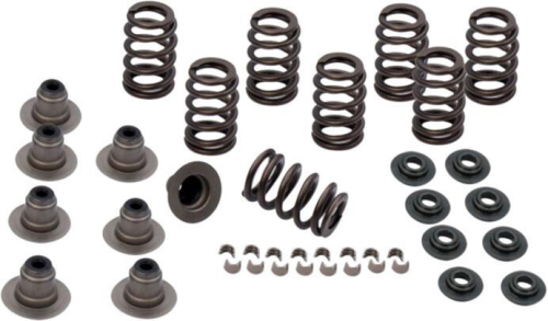 Rocket Cams - Rocket Cams Valve Spring Kit - 4-4102