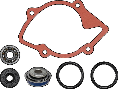 SP1 - SP1 Water Pump Repair Kit - SM-10101