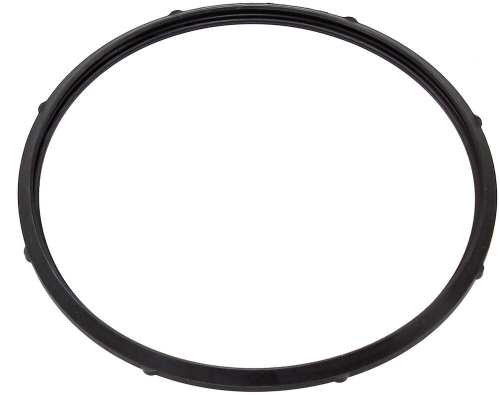 SP1 - SP1 Fuel Pump Seal - SM-07261