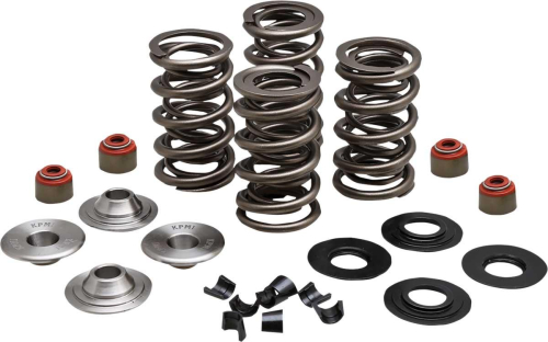 Kibblewhite Precision - Kibblewhite Precision Racing Valve Spring Kit - .650in. Lift - 20-23550