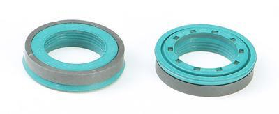 SKF - SKF Piston Seal - PSTSH30G