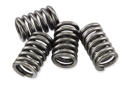 EBC - EBC CSK Clutch Spring Kit - CSK175