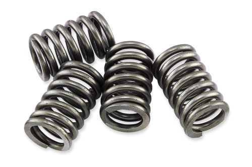 EBC - EBC CSK Clutch Spring Kit - CSK192