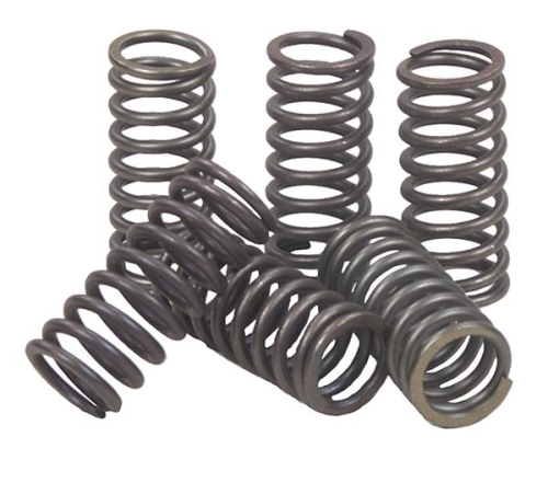 EBC - EBC CSK Clutch Spring Kit - CSK191