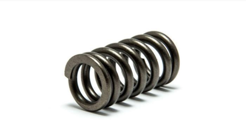 SPI - SPI Intake Exhaust Spring - XU-09555S