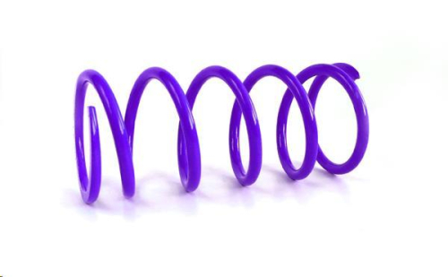 EPI - EPI Primary Drive Clutch Spring - Purple - CAPS5