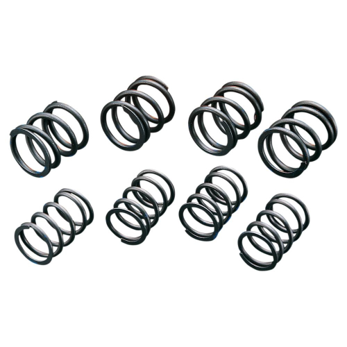 Andrews - Andrews .600in. Lift Valve Springs - 272110