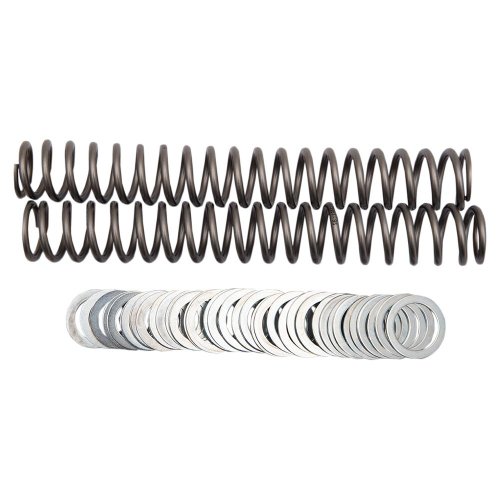 Race Tech - Race Tech Fork Springs - .95 kg/mm - FRSP S3827095