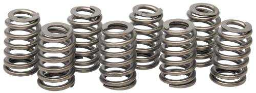 TTS - TTS TTS Master Tune M-8 Valve Springs - 2000311