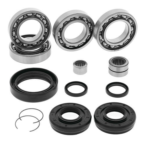 QuadBoss - QuadBoss Differential Bearing and Seal Kit - 5325-2100