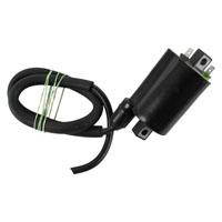 Wild Boar - Wild Boar Ignition Coil - IMC0013