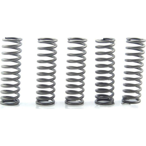 EBC - EBC CSK Clutch Spring Kit - CSK169