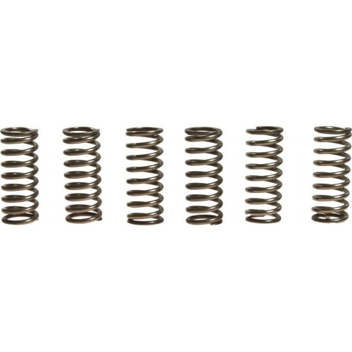 EBC - EBC CSK Clutch Spring Kit - CSK178