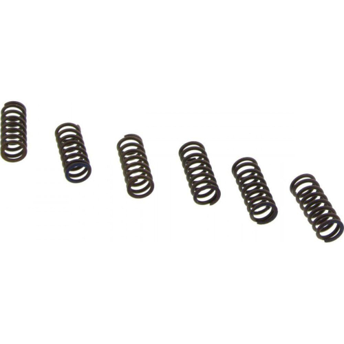 EBC - EBC CSK Clutch Spring Kit - CSK39