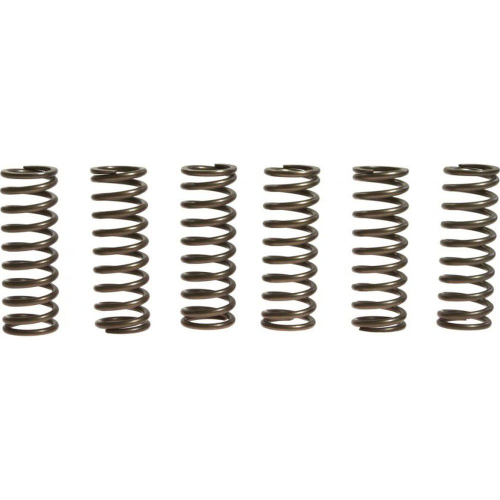 EBC - EBC CSK Clutch Spring Kit - CSK145