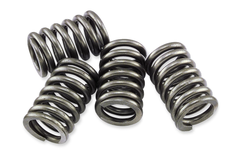 EBC - EBC CSK Clutch Spring Kit - CSK184