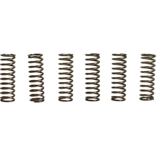 EBC - EBC CSK Clutch Spring Kit - CSK187