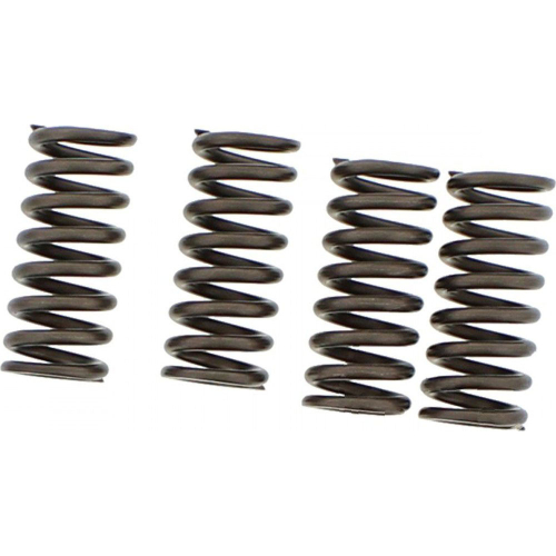 EBC - EBC CSK Clutch Spring Kit - CSK174