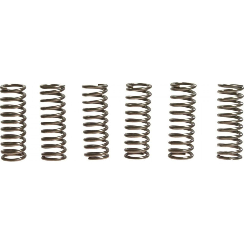 EBC - EBC CSK Clutch Spring Kit - CSK164