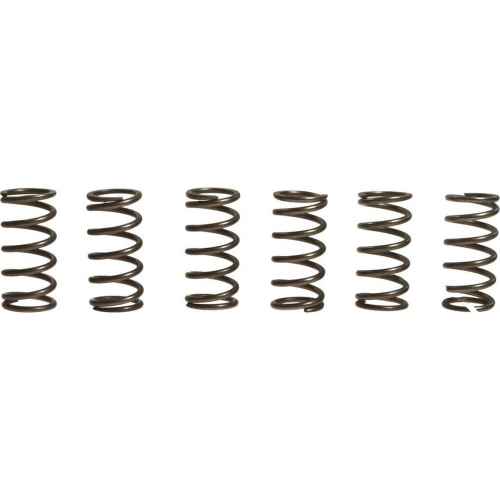 EBC - EBC CSK Clutch Spring Kit - CSK165