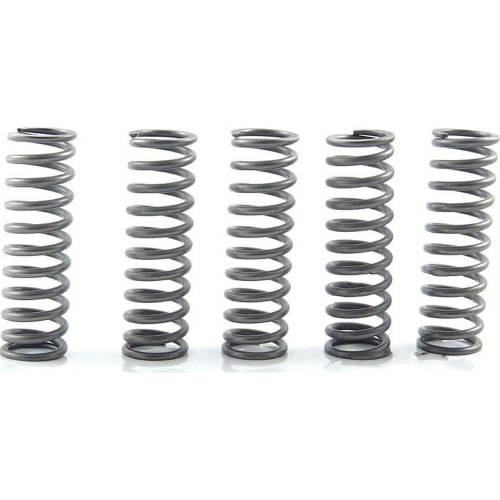 EBC - EBC CSK Clutch Spring Kit - CSK169