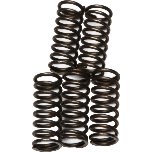 EBC - EBC CSK Clutch Spring Kit - CSK66