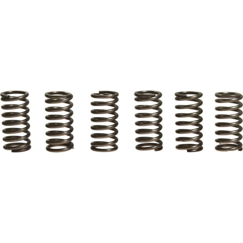 EBC - EBC CSK Clutch Spring Kit - CSK136