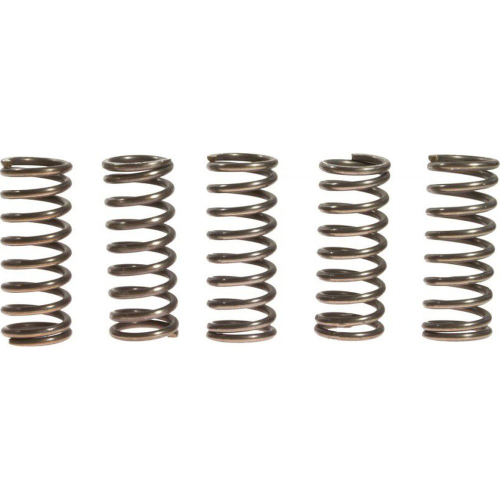 EBC - EBC CSK Clutch Spring Kit - CSK70