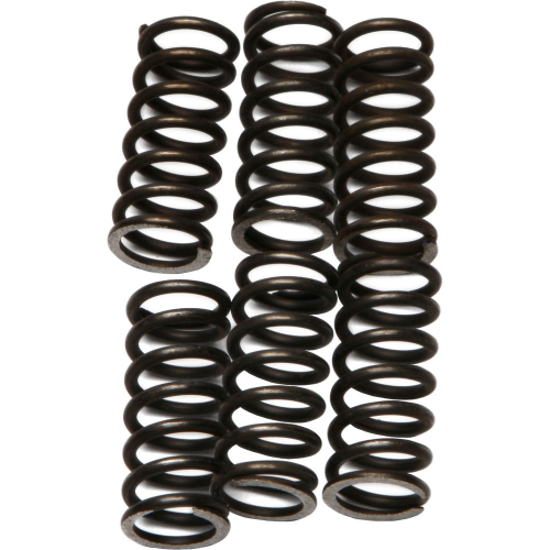 EBC - EBC CSK Clutch Spring Kit - CSK46