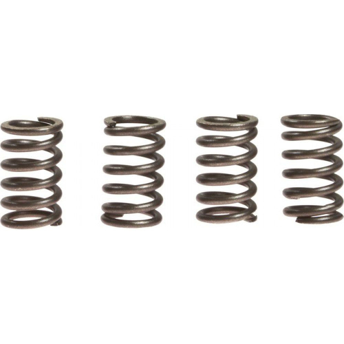 EBC - EBC CSK Clutch Spring Kit - CSK3