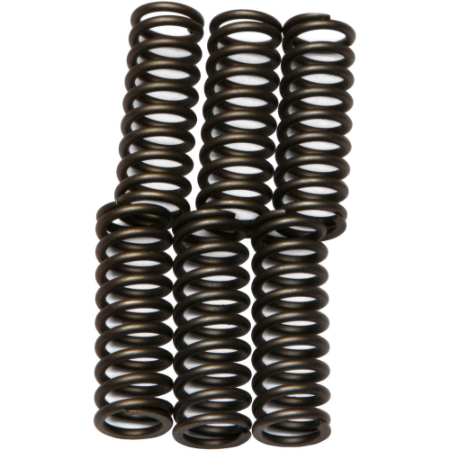 EBC - EBC CSK Clutch Spring Kit - CSK62