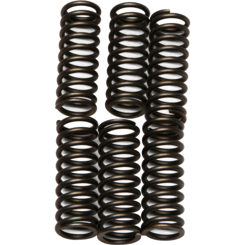 EBC - EBC CSK Clutch Spring Kit - CSK75