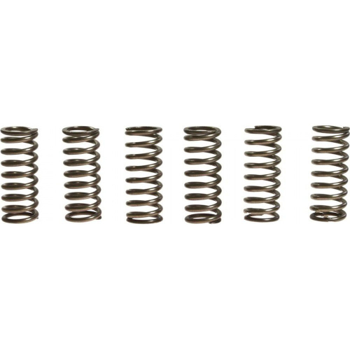 EBC - EBC CSK Clutch Spring Kit - CSK178