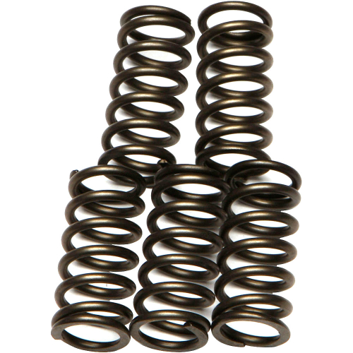 EBC - EBC CSK Clutch Spring Kit - CSK176