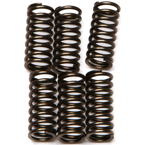 EBC - EBC CSK Clutch Spring Kit - CSK144