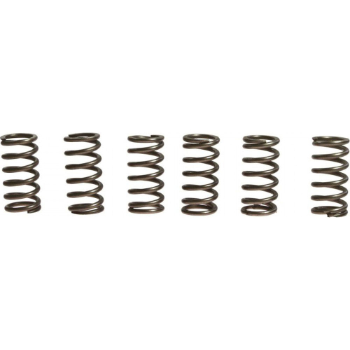 EBC - EBC CSK Clutch Spring Kit - CSK139