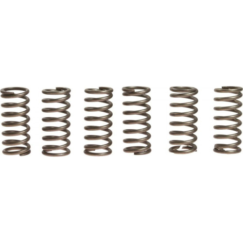 EBC - EBC CSK Clutch Spring Kit - CSK135