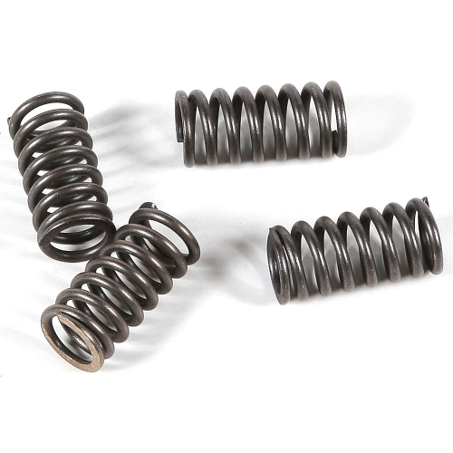 EBC - EBC CSK Clutch Spring Kit - CSK47