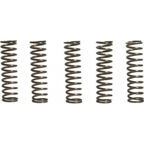 EBC - EBC CSK Clutch Spring Kit - CSK67