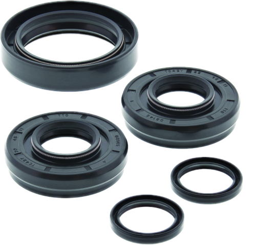 All Balls - All Balls Differential Seal Only Kit - 25-2100-5