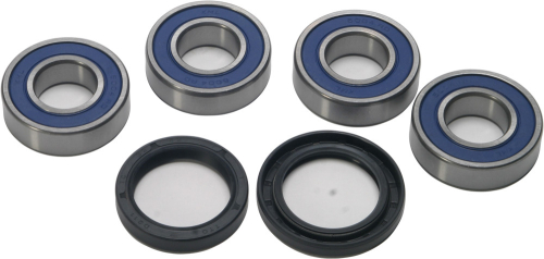 All Balls - All Balls Wheel Bearing and Seal Kit - 25-1672