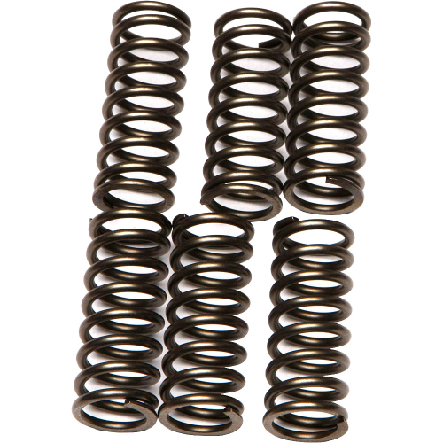 EBC - EBC CSK Clutch Spring Kit - CSK196