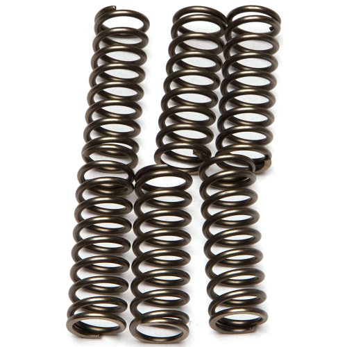 EBC - EBC CSK Clutch Spring Kit - CSK160